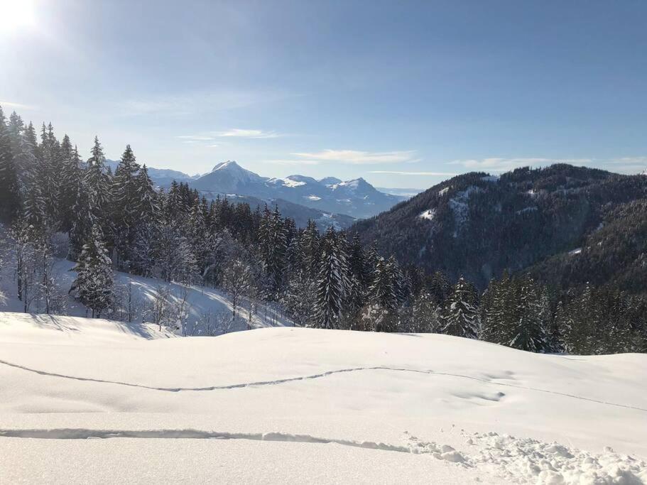 Appartement Cosy 3/4 Personnes A 5 Min Des Pistes. Saint-Jean-dʼAulps Екстериор снимка