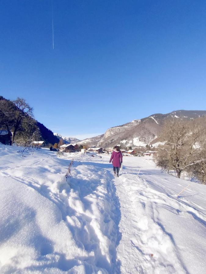 Appartement Cosy 3/4 Personnes A 5 Min Des Pistes. Saint-Jean-dʼAulps Екстериор снимка
